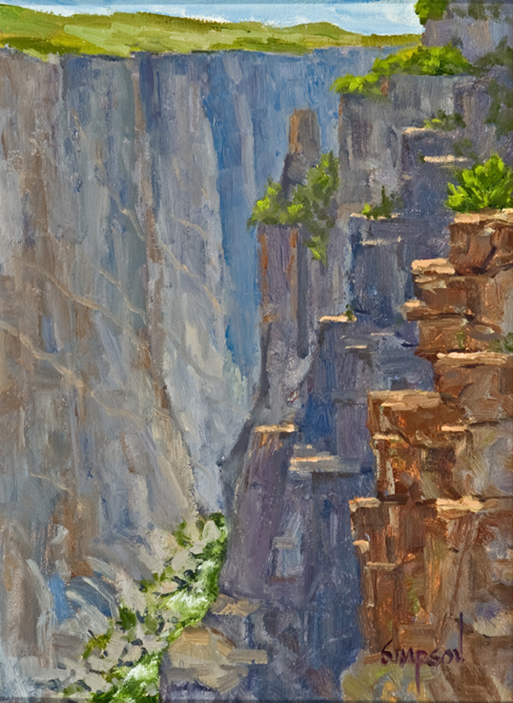 Cham View plein air oil painting Black Canyon National Park by Mike Simpson